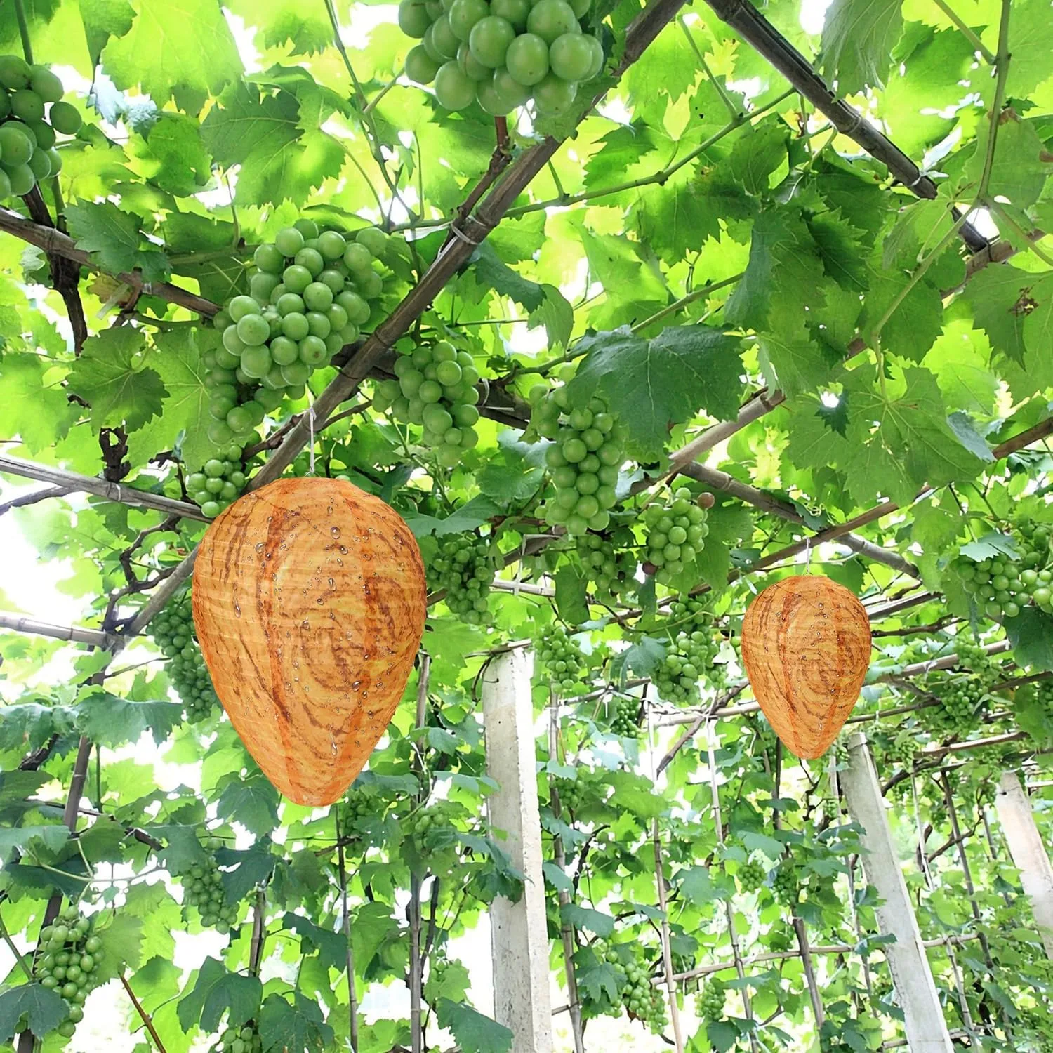 DECYOOL 6 Pack Wasp Nest Decoy Hanging Wasp for Wasps Hornets Yellow Jackets Outdoor Waterproof Material (Orange)